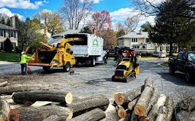 Reliable North Decatur, GA Tree Removal and Landscaping Services Solutions